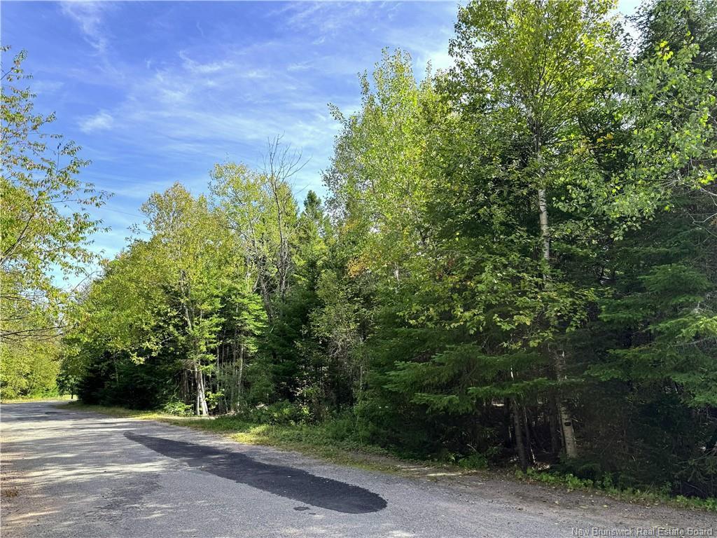 5 Spurline Ave, Pennfield, NB
