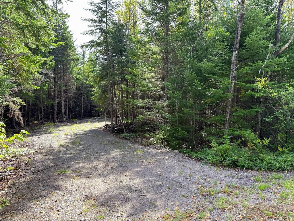 5 Spurline Ave, Pennfield, NB