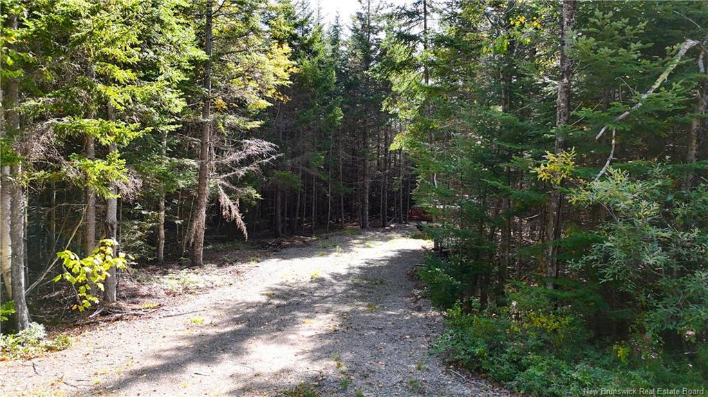 5 Spurline Ave, Pennfield, NB