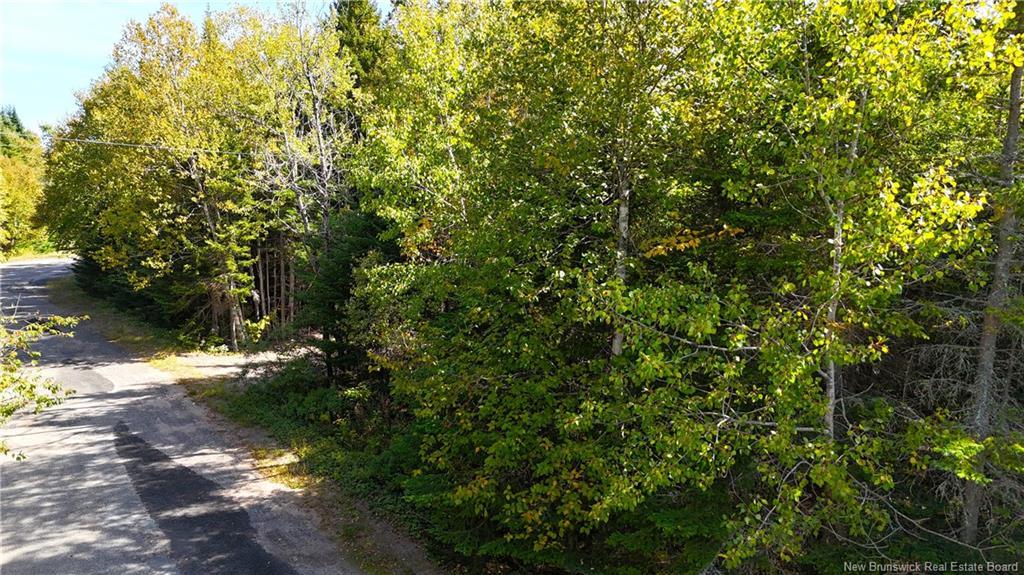 5 Spurline Ave, Pennfield, NB