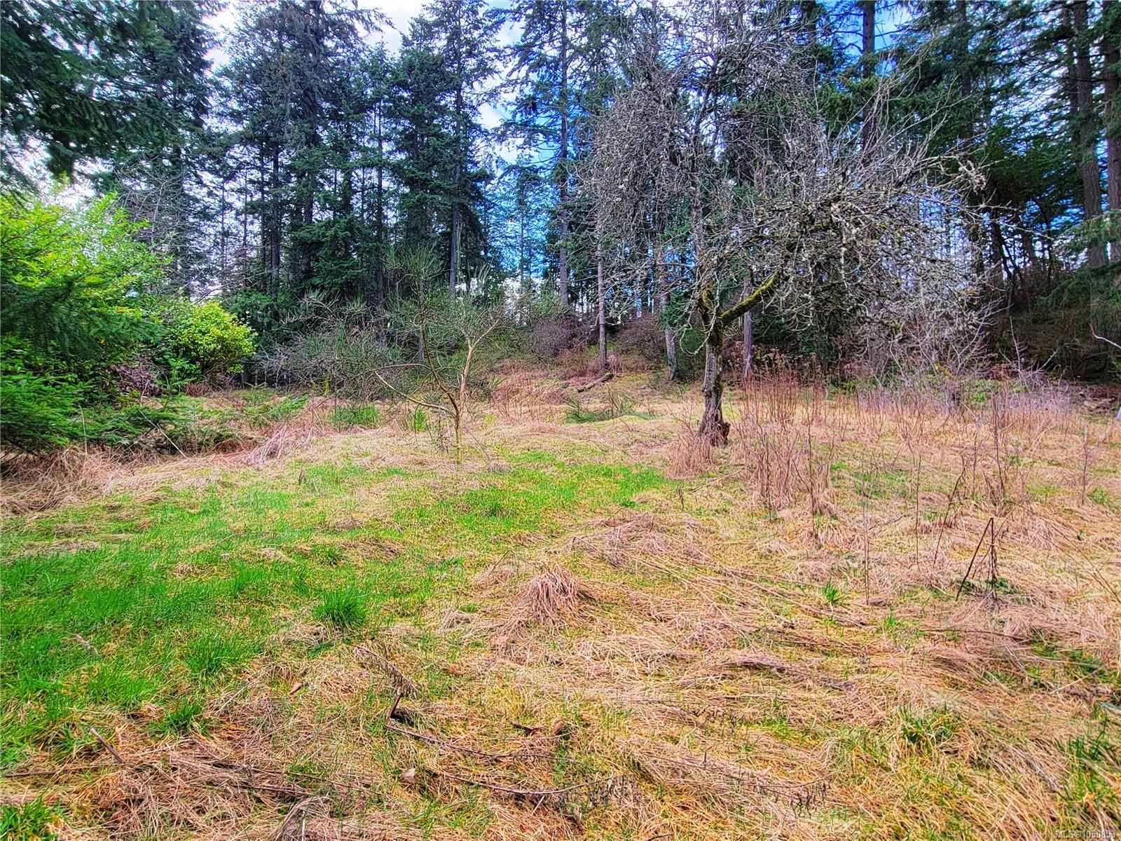 1015 Park Ave, Nanaimo, BC