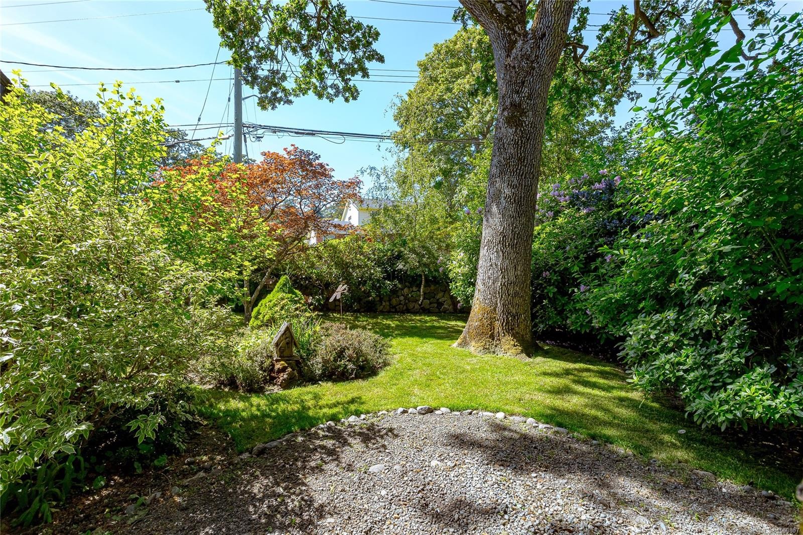 875 Richmond Ave, Victoria, BC