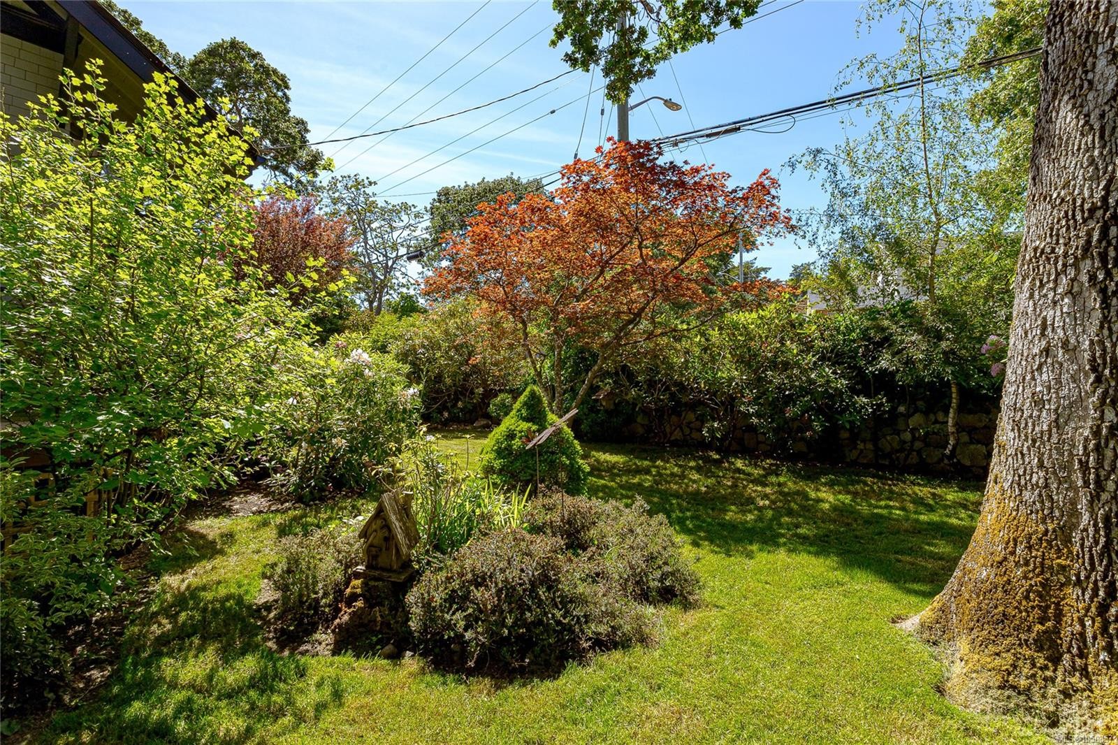 875 Richmond Ave, Victoria, BC