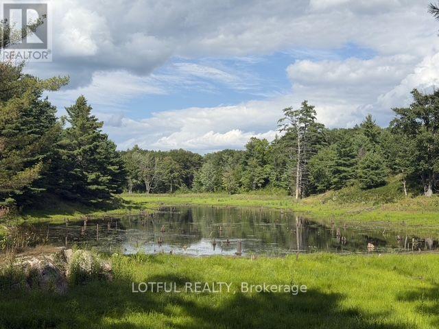 101 Maberly Station Road, Tay Valley, ON