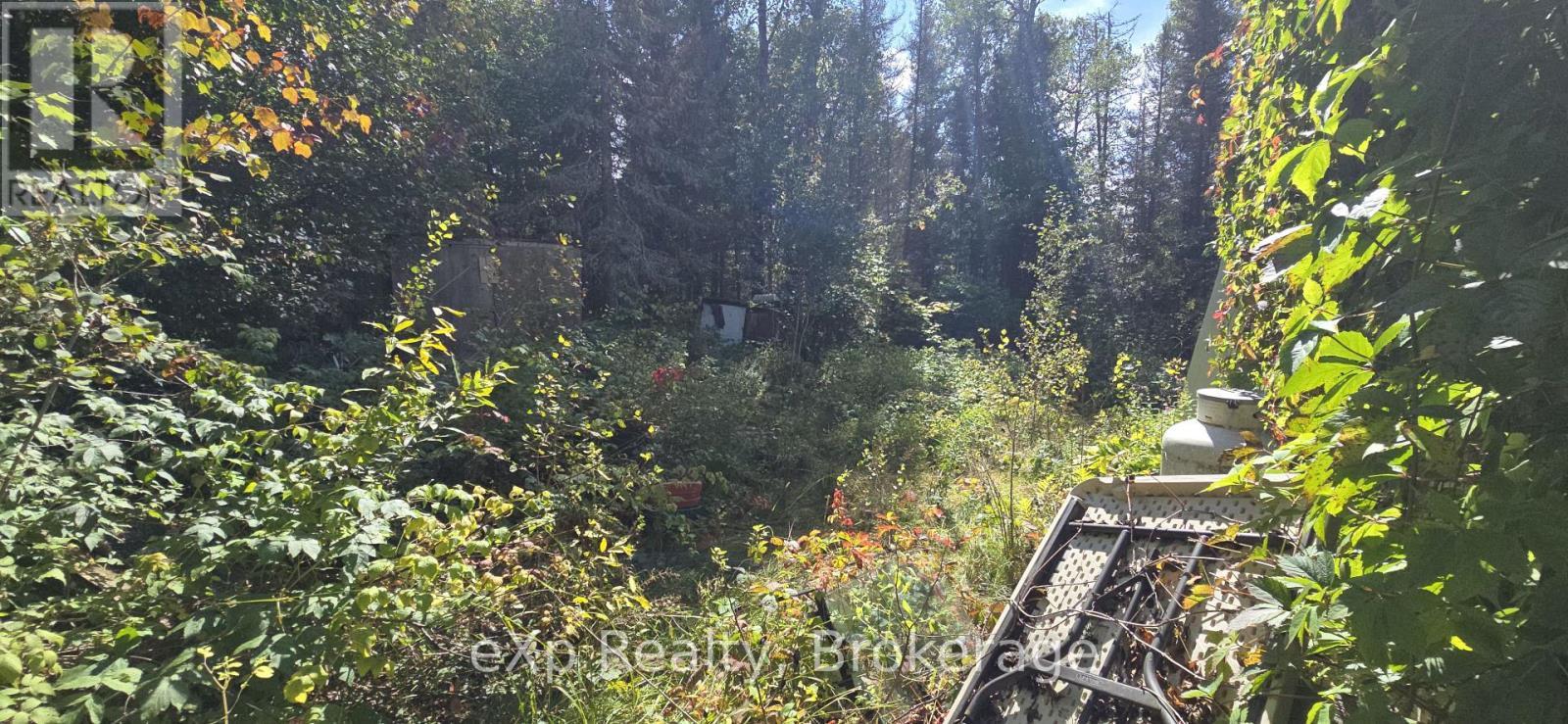 1331 Miller Road, Magnetawan, ON