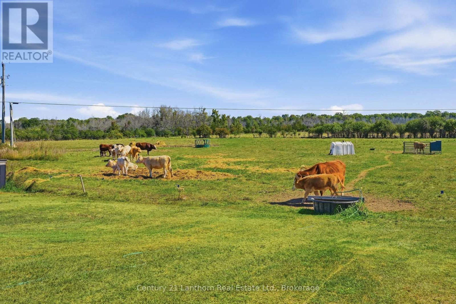 939 Kelly Road, Prince Edward County (Athol Ward), ON
