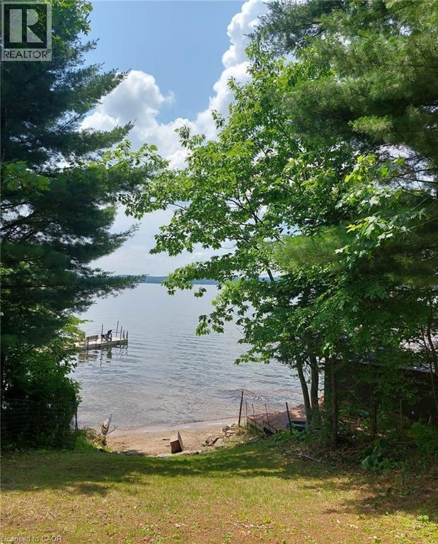 Waterfront property featuring a wooden dock, sandy beach, and mature trees - 16431 Highway 35, Algonquin Highlands, ON