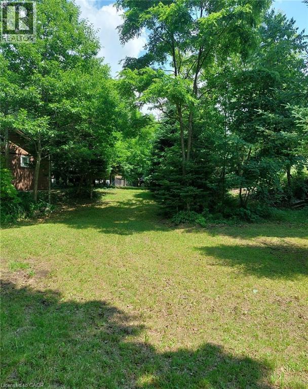 Expansive grassy area surrounded by mature trees and natural landscaping - 16431 Highway 35, Algonquin Highlands, ON