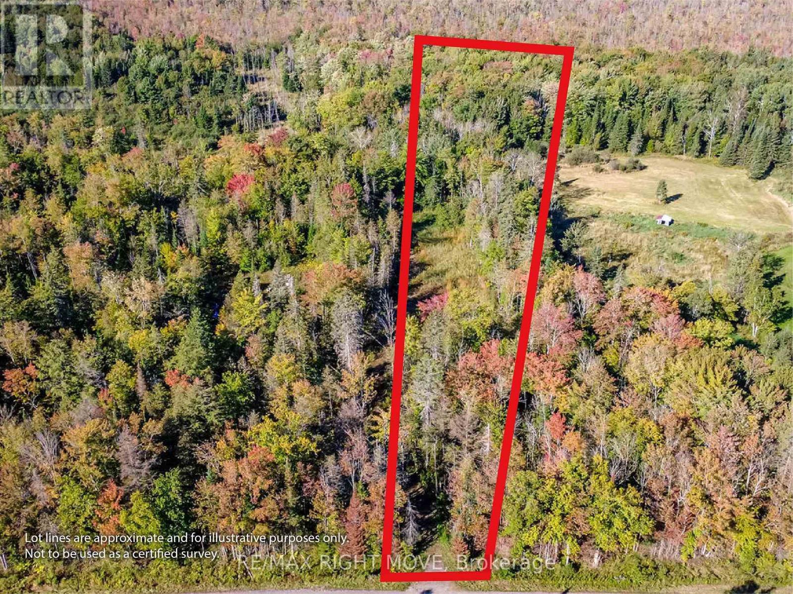 1233 Southwood Road Building Lot - 1223 Southwood Road, Gravenhurst, ON