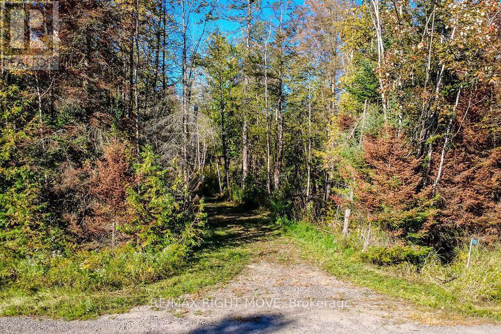 1223 Southwood Road, Gravenhurst, ON