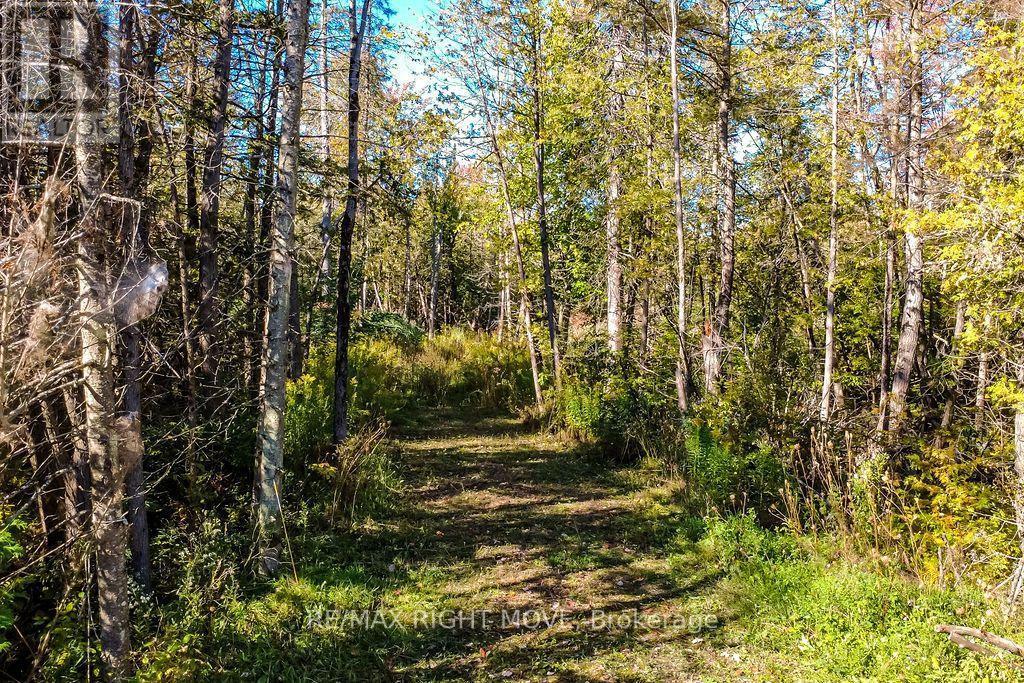 1223 Southwood Road, Gravenhurst, ON