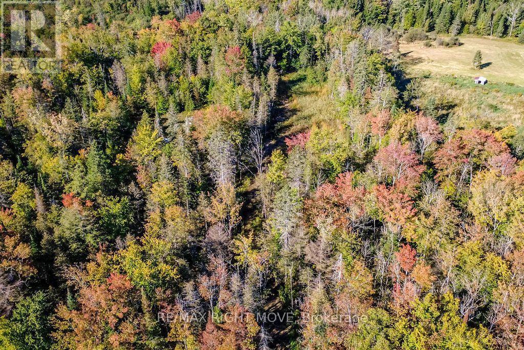 1223 Southwood Road, Gravenhurst, ON
