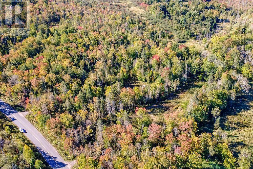 Partly Cleared Ready for YOUR home! - 1223 Southwood Road, Gravenhurst, ON