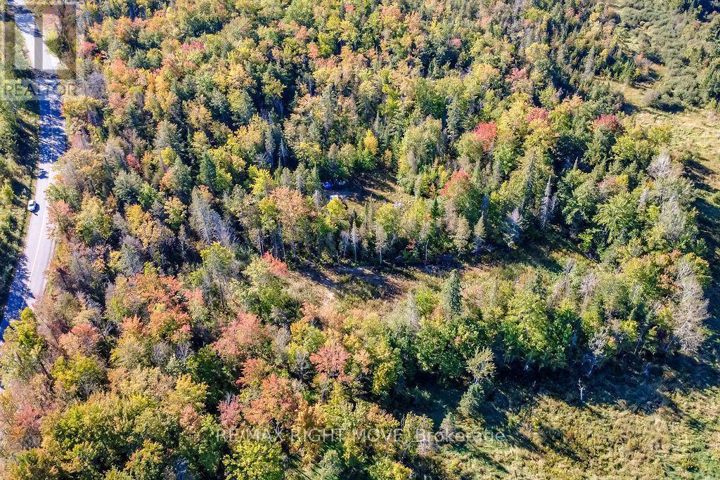 1223 Southwood Road, Gravenhurst, ON