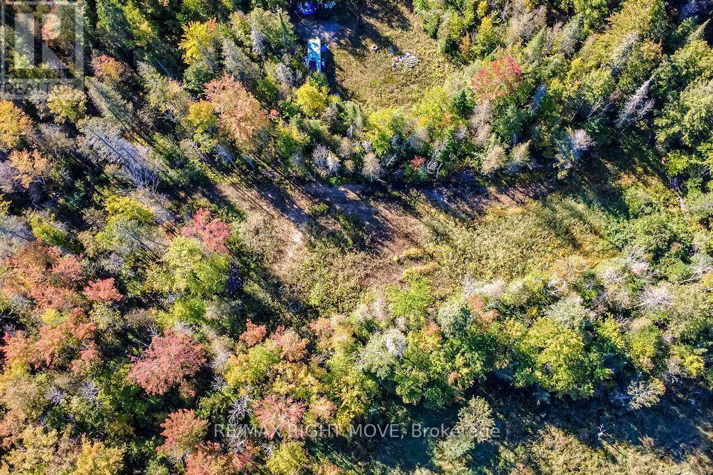 1223 Southwood Road, Gravenhurst, ON