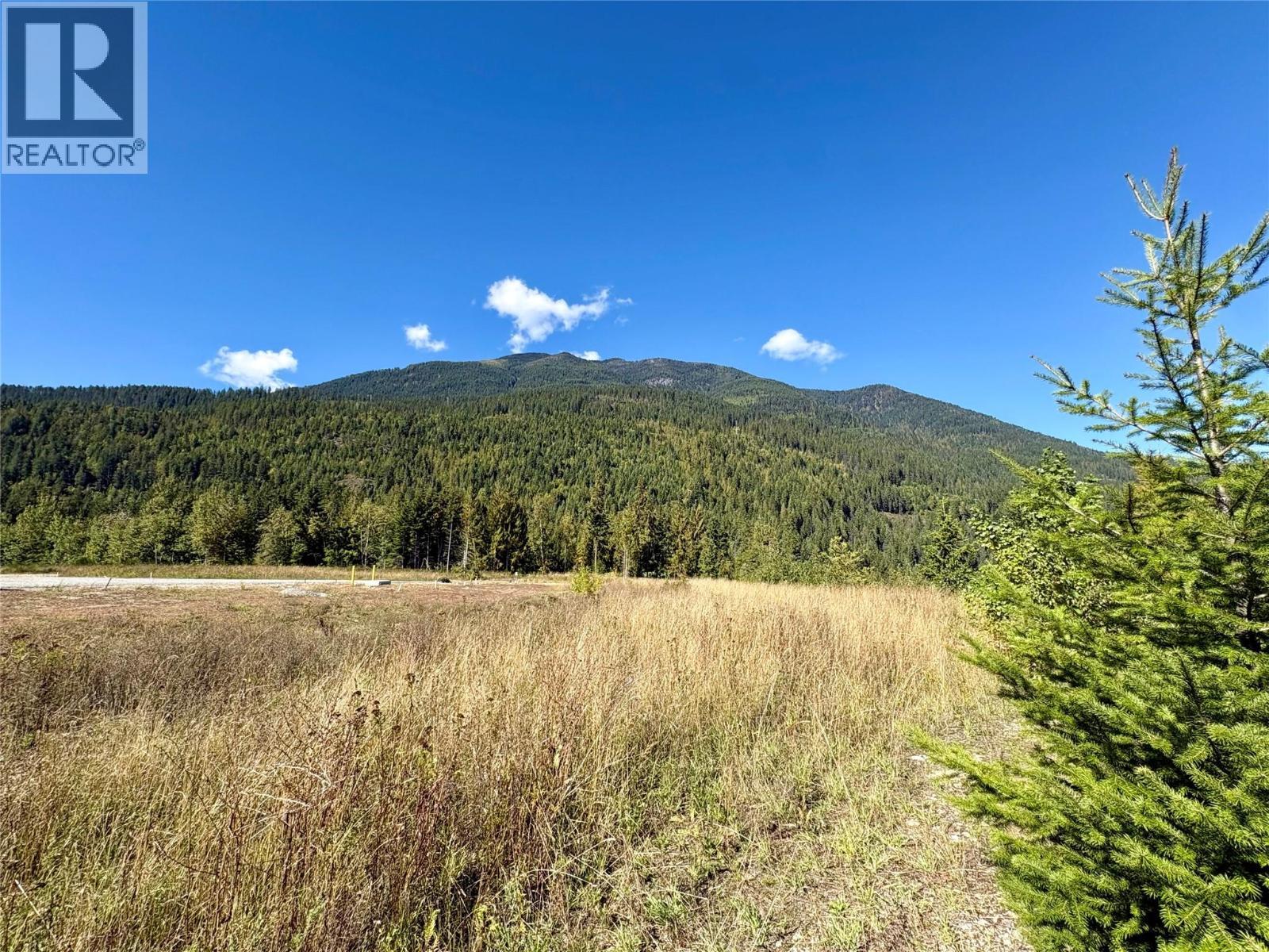 205 Edward Street Lot# 61, Balfour, BC