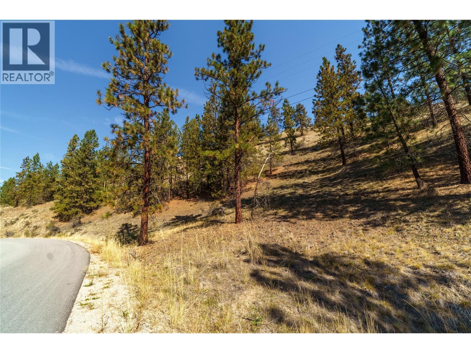 Prpsd Lt 2 47 Street, Okanagan Falls, BC