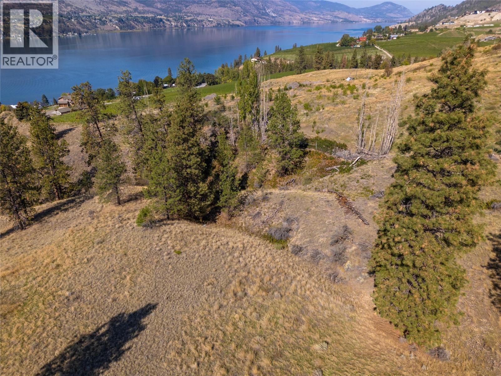 Prpsd Lt 2 47 Street, Okanagan Falls, BC