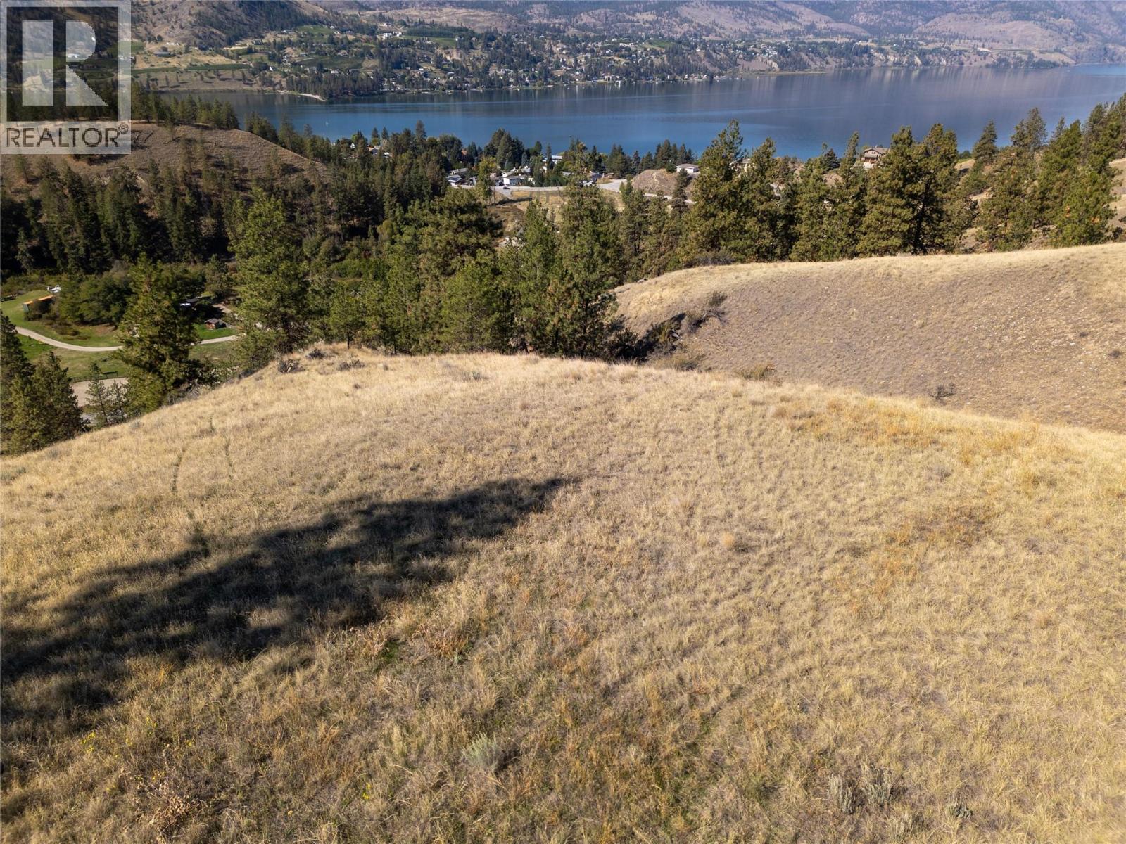 Prpsd Lt 2 47 Street, Okanagan Falls, BC