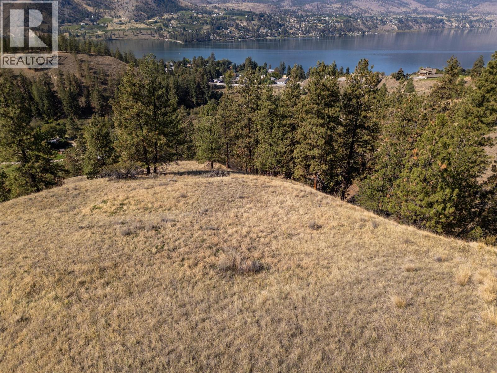 Prpsd Lt 2 47 Street, Okanagan Falls, BC