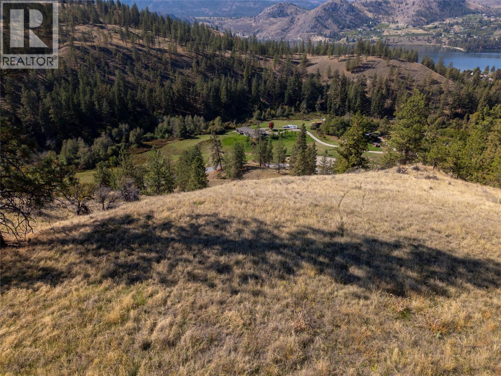 Prpsd Lt 2 47 Street, Okanagan Falls, BC