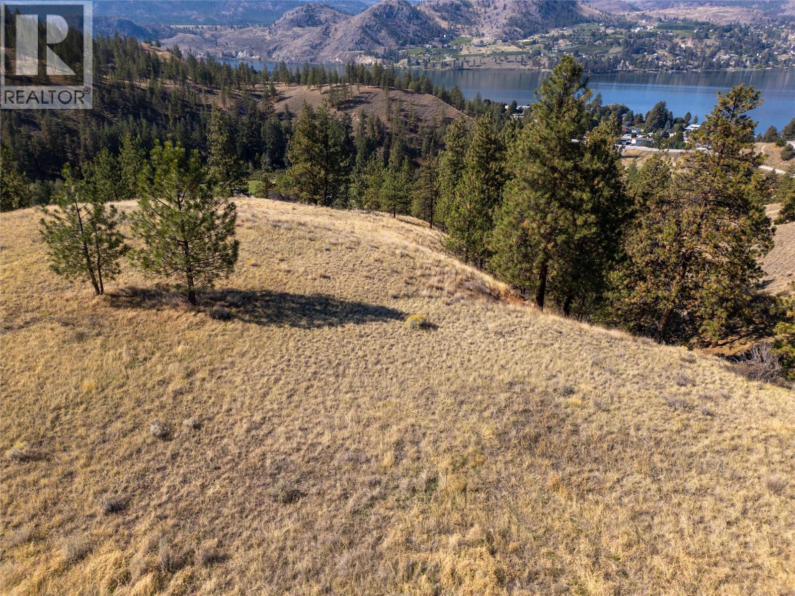 Prpsd Lt 2 47 Street, Okanagan Falls, BC