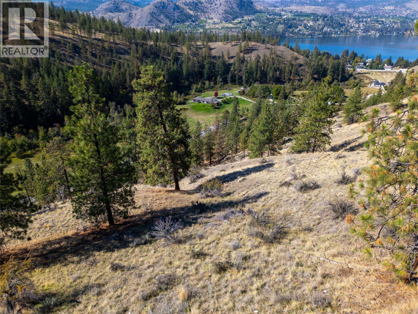 Prpsd Lt 2 47 Street, Okanagan Falls, BC