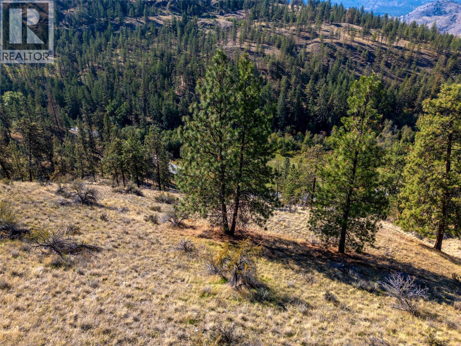 Prpsd Lt 2 47 Street, Okanagan Falls, BC
