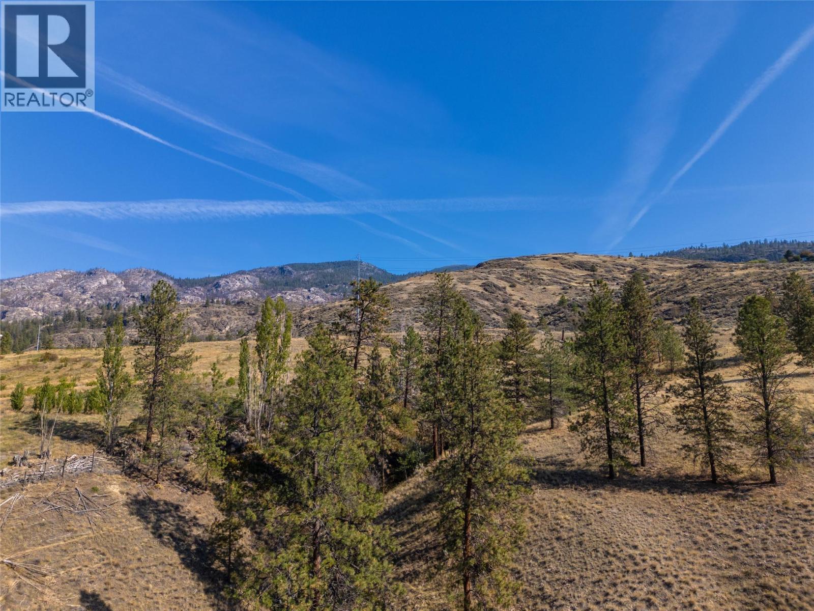Prpsd Lt 2 47 Street, Okanagan Falls, BC