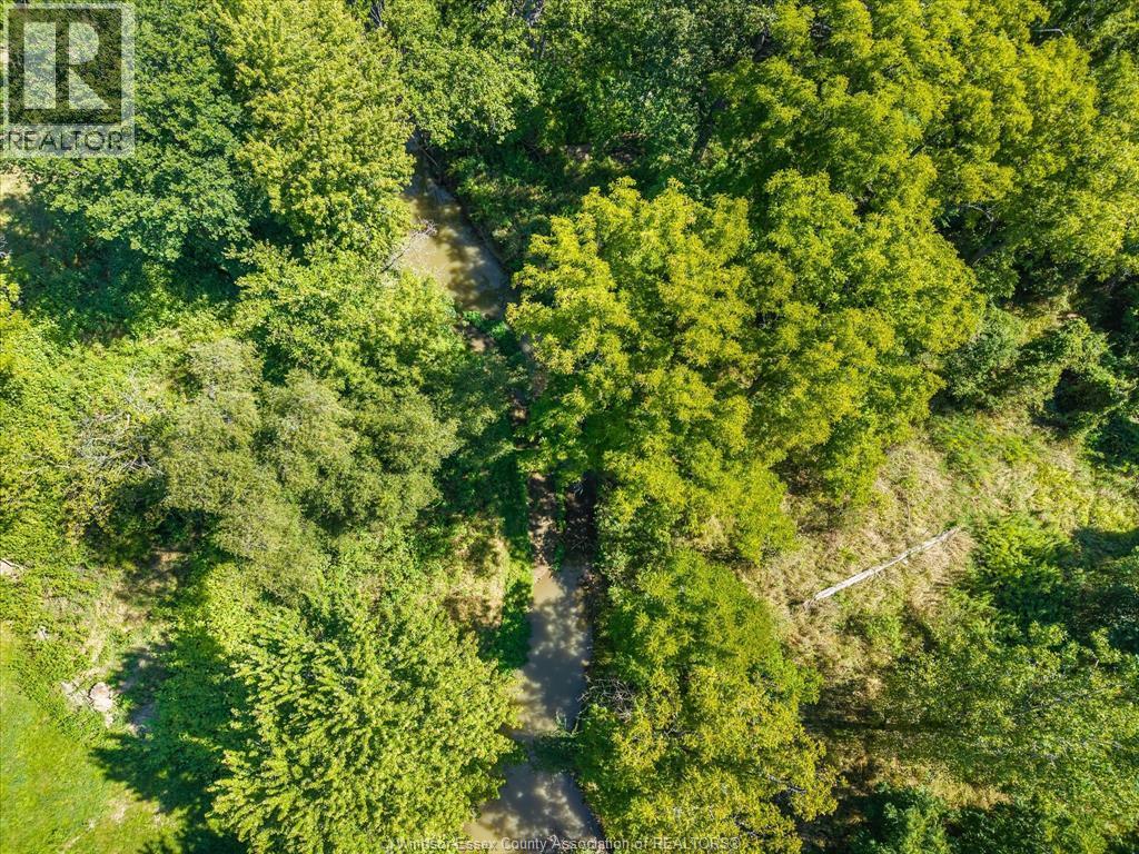 1585 Belle River Road, Lakeshore, ON
