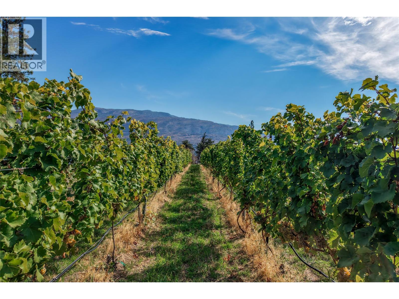 5355 Trepanier Bench Road, Peachland, BC