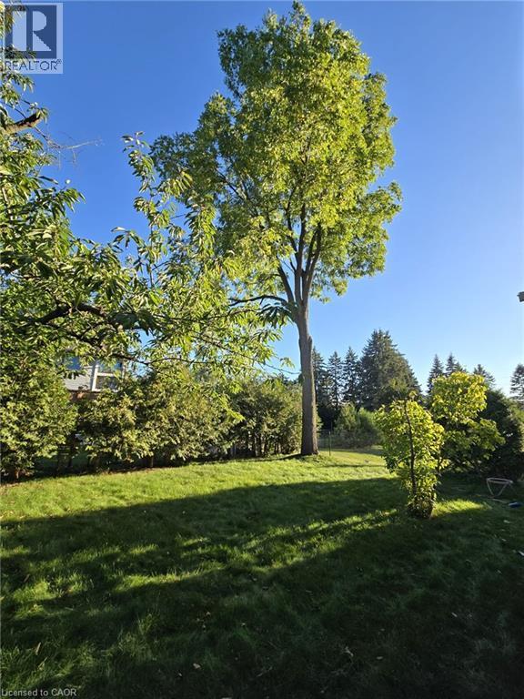 Expansive lawn with mature trees and established perimeter plantings - 410 Lakeview Drive, Waterloo, ON