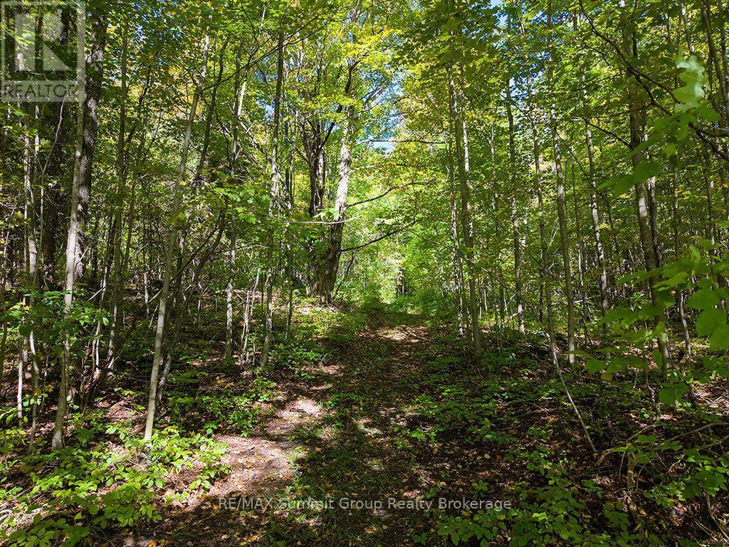 467063 12Th Concession B, Grey Highlands, ON