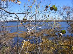 0 LT 26 CON 2 WBR ALBEMARLE CONCESSION South Bruce Peninsula, ON N0H 2T0