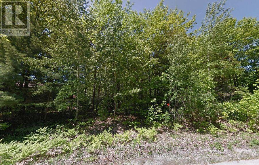 2 Birchwood Trail, Wasaga Beach, ON