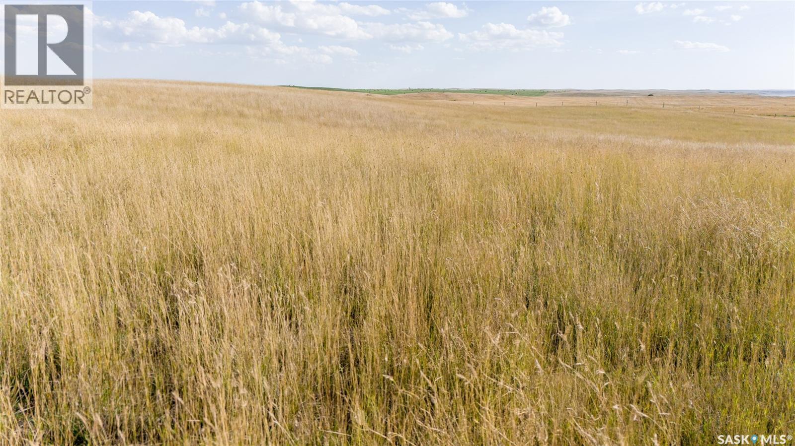 243 Deeded Acres W/ Assignable Crown Lease Rm 101, Terrell Rm No. 101, SK