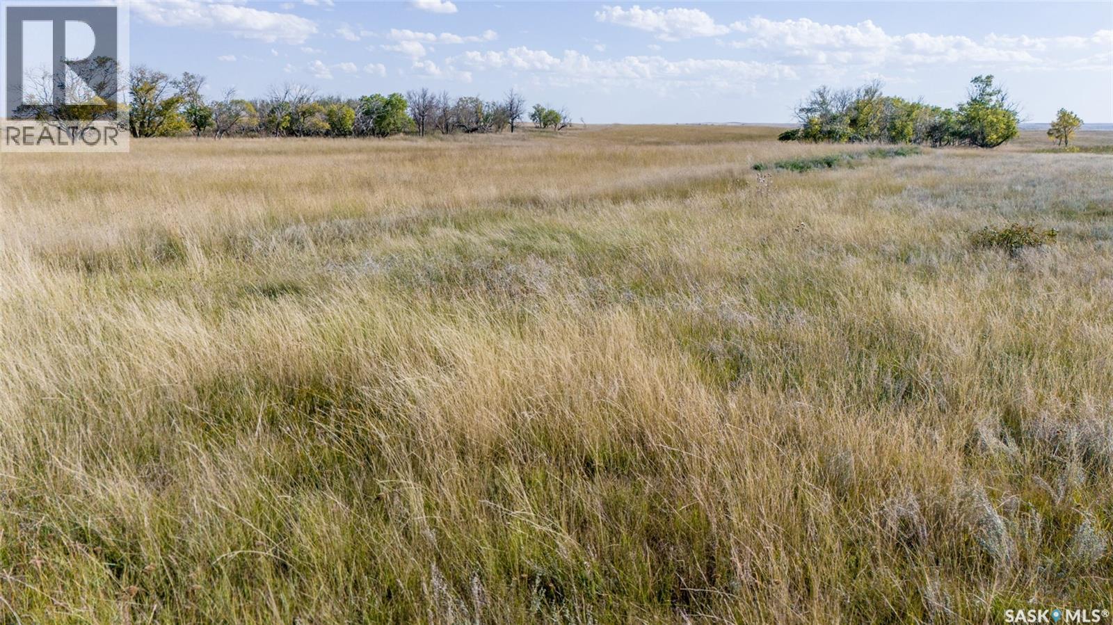 243 Deeded Acres W/ Assignable Crown Lease Rm 101, Terrell Rm No. 101, SK