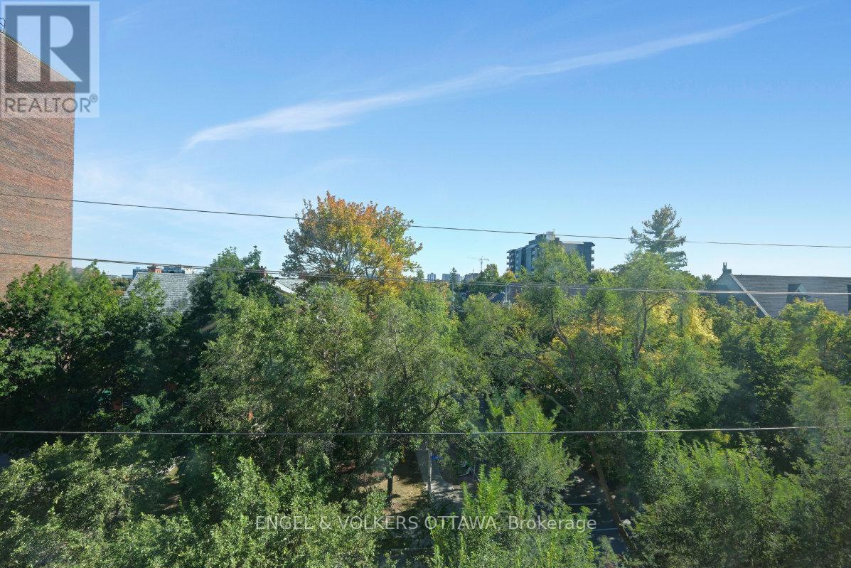 5 - 373 Laurier Avenue E, Ottawa, ON