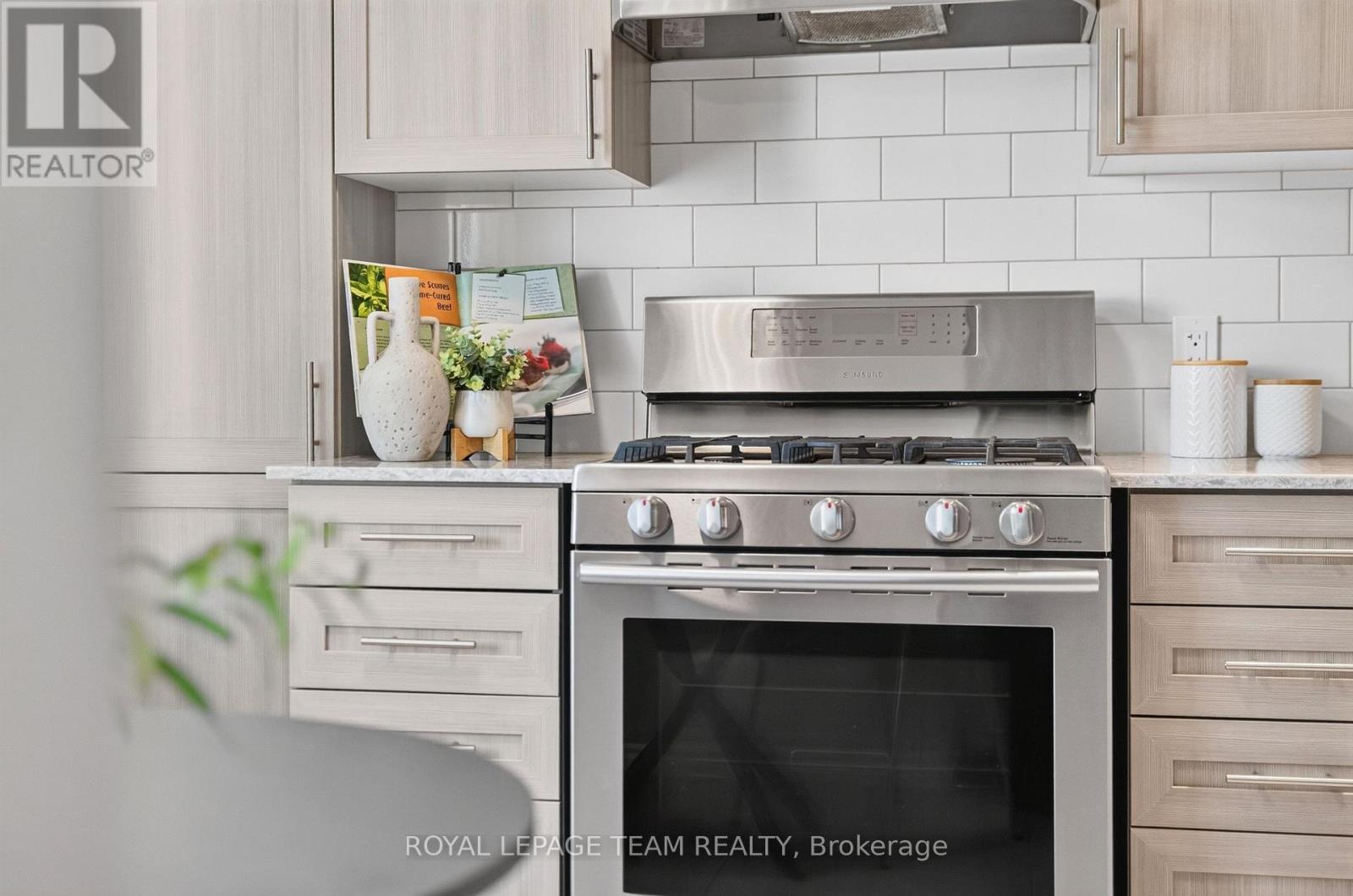 Stainless steel appliances - 246 Leather Leaf Terrace, Ottawa, ON