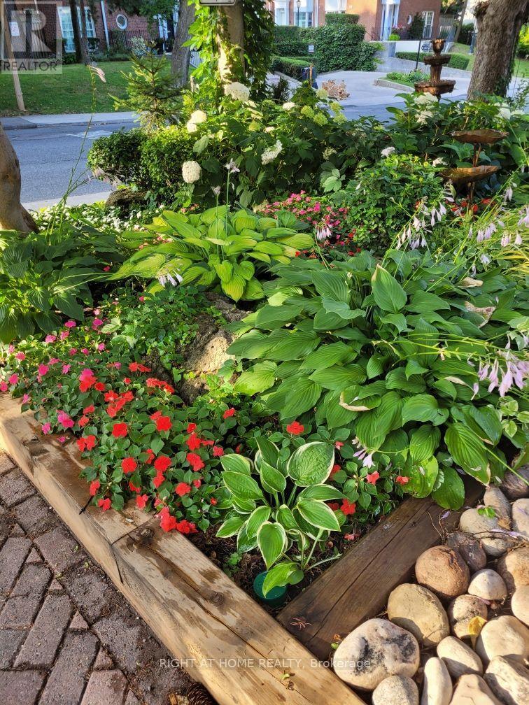 Front Garden - 219 Broadway Avenue, Toronto, ON