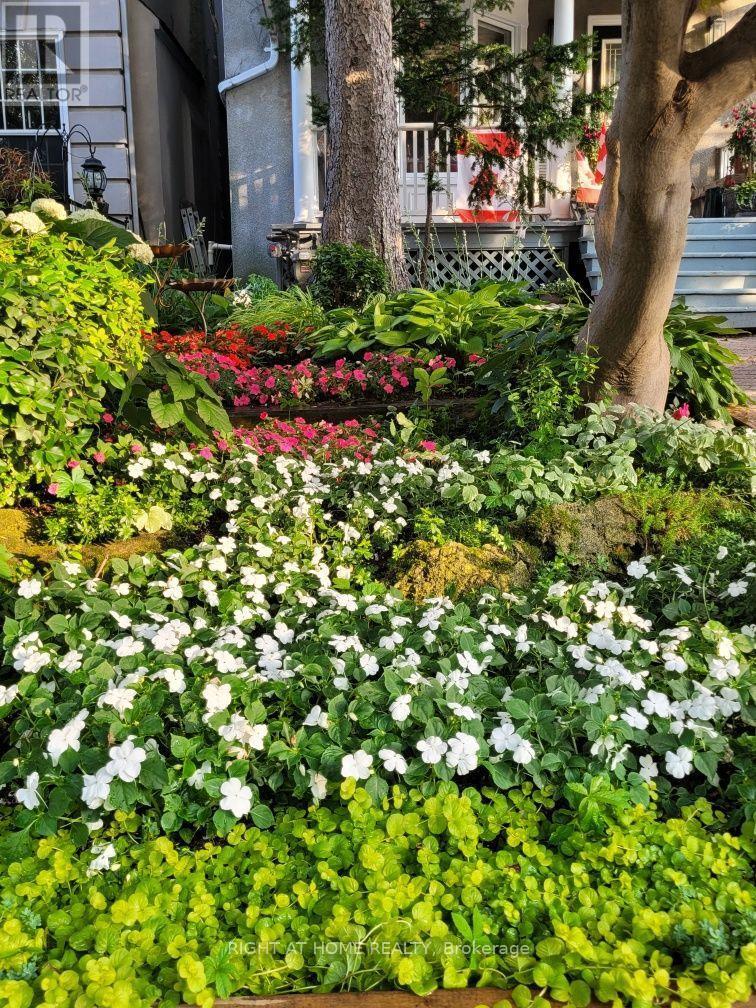 Front Garden - 219 Broadway Avenue, Toronto, ON
