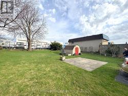 Backyard -