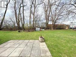 Backyard -