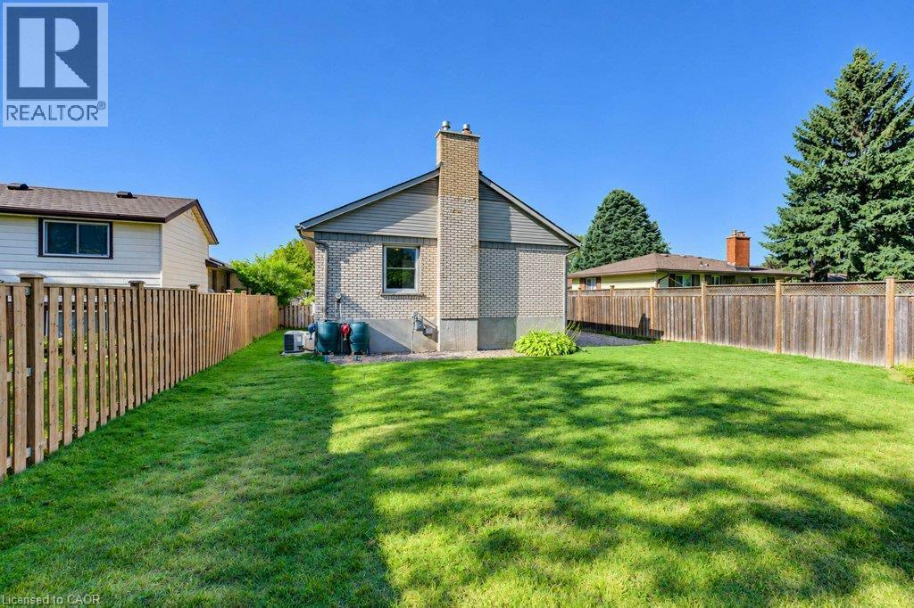 Expansive grass lawn with a full privacy fence - 34 Wayne Drive, Kitchener, ON