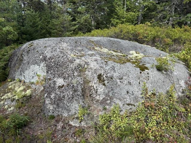 Lot 2 Tupper Lake, Westfield, NS