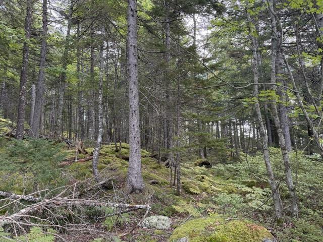 Lot 2 Tupper Lake, Westfield, NS