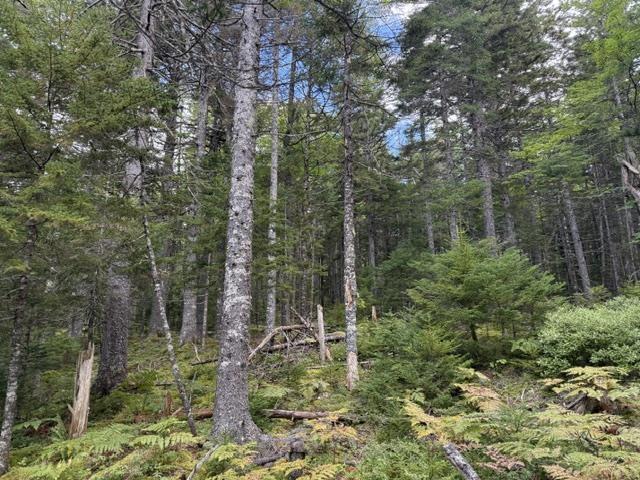Lot 2 Tupper Lake, Westfield, NS