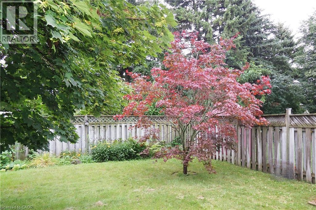 Mature landscaped grounds featuring a lush lawn, Japanese maple tree with vibrant pink foliage, and established shade trees - 219 Foxhunt Road, Waterloo, ON