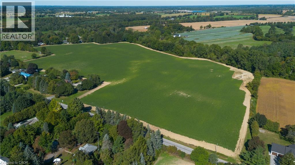 Expansive agricultural land featuring a cleared field, surrounded by mature trees and natural areas - 264 Old Highway 24, Waterford, ON