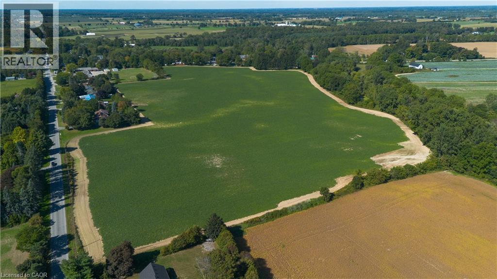 Expansive agricultural land featuring a verdant field, bordering a paved road, and framed by mature trees - 264 Old Highway 24, Waterford, ON